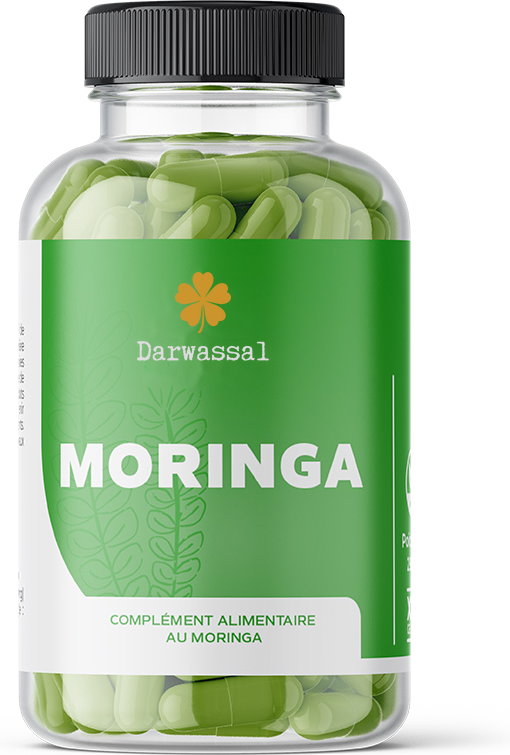 Moringa – Darwassal